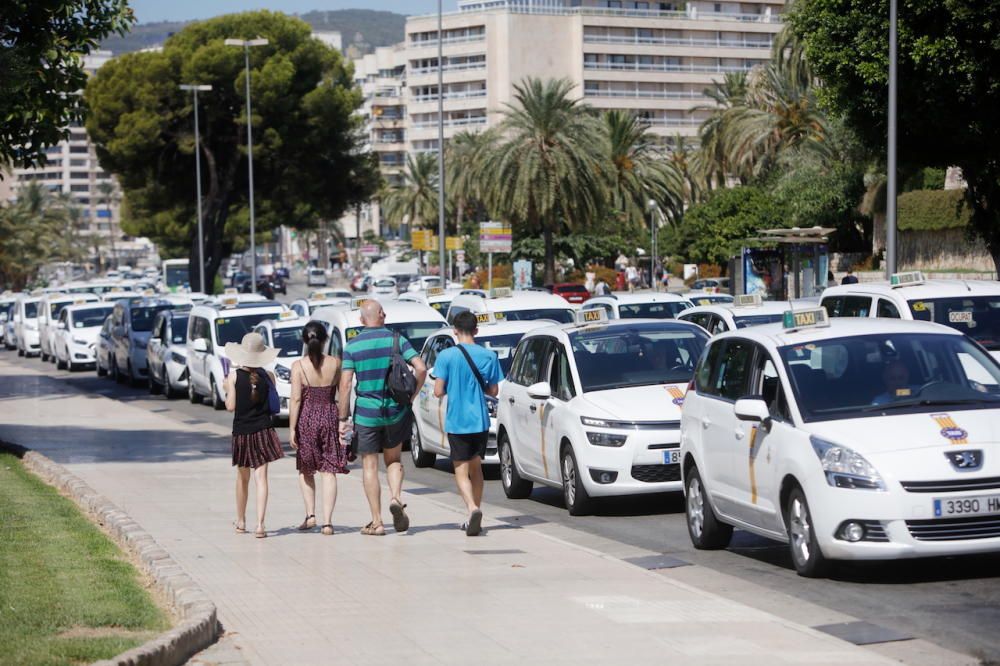 Protesta de los taxistas en Palma y en el aeropuerto