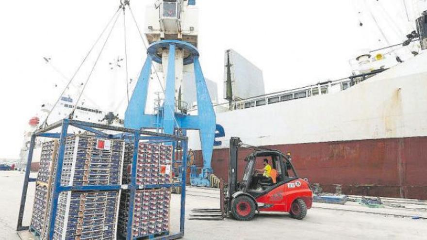 Las elevadas tasas del Reino Unido ponen en jaque la naranja de Castellón