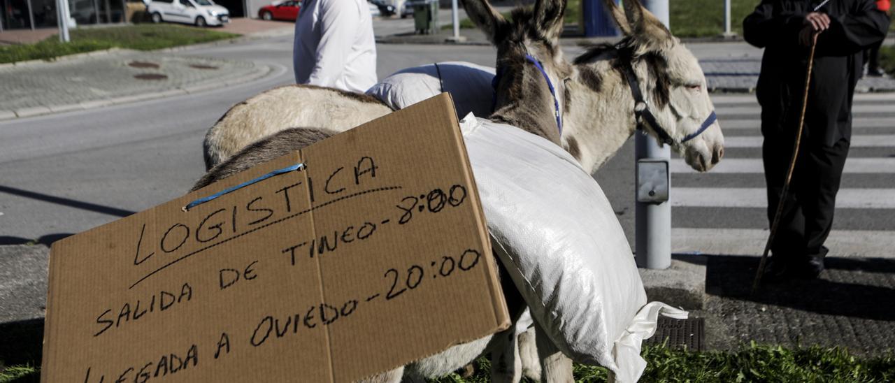 En burro para reivindicar mejores comunicaciones con Tineo y La Espina