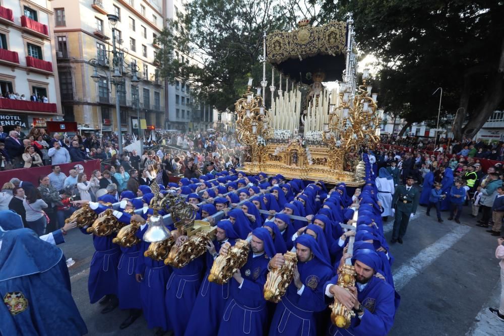 Domingo de Ramos l Huerto