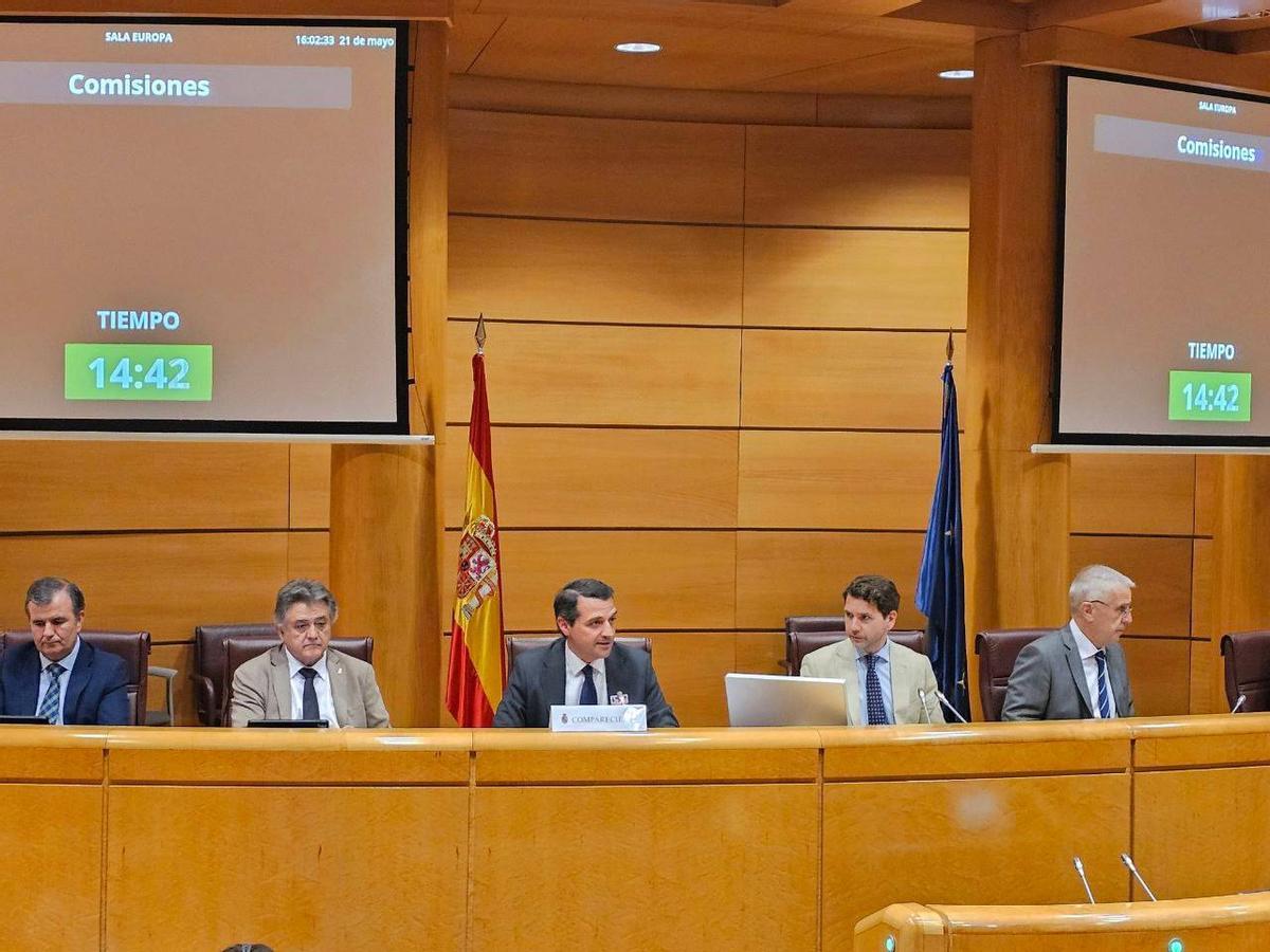 Intervención del alcalde en el Senado.