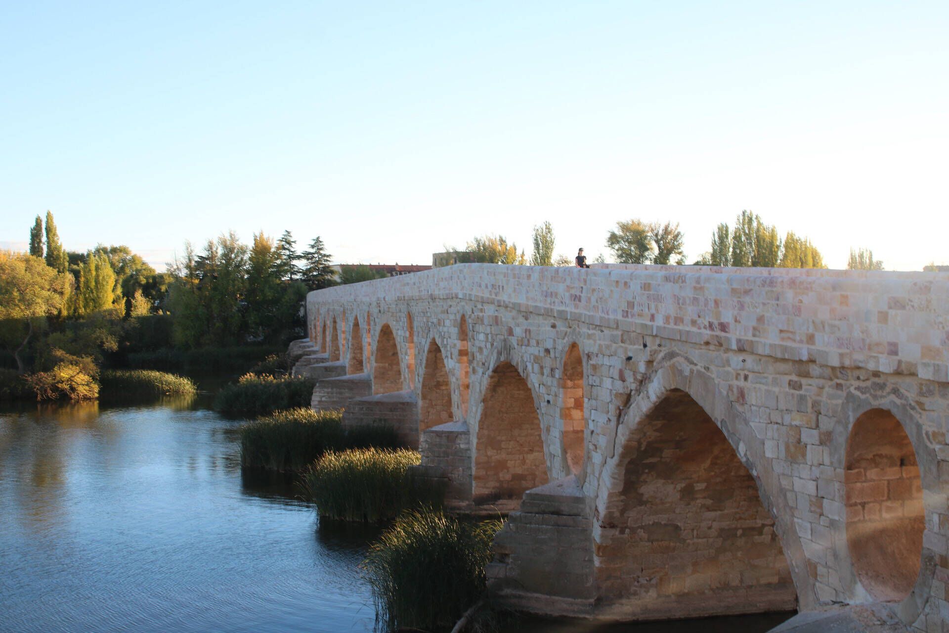 El Puente de Piedra de Zamora.