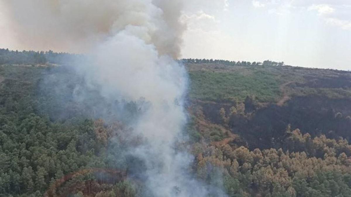 Vídeo | Incendio forestal en Valdecaballeros