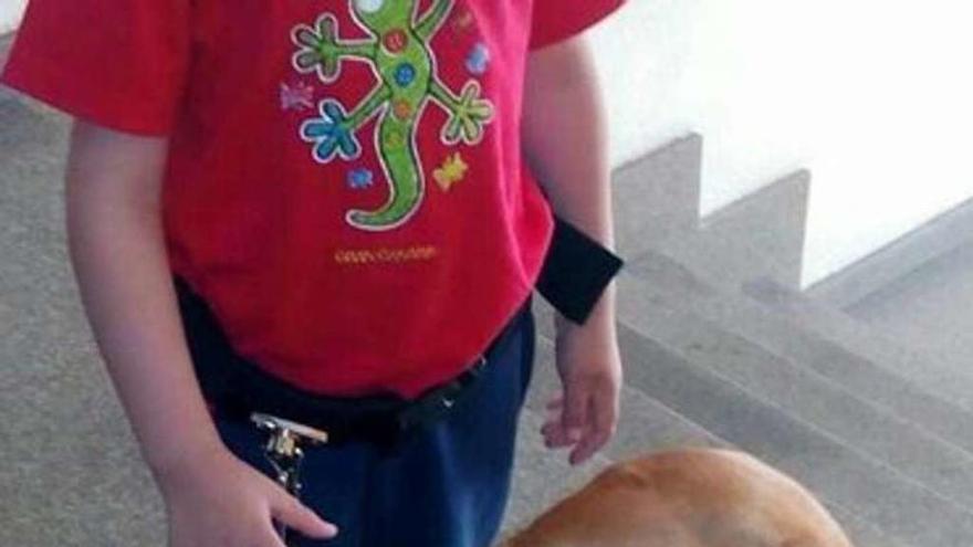 El perro de servicio junto al niño, en la foto que ilustra la petición.