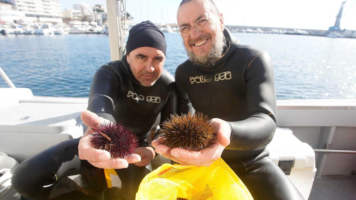 Els mariscadors Carles Martínez i Marc Trias, amb més de 30 anys d’experiència, mostren la seva captura de garotes al port de Palamós.