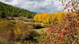 El pueblo más pequeño de Cuenca: 11 habitantes, infinitos encantos