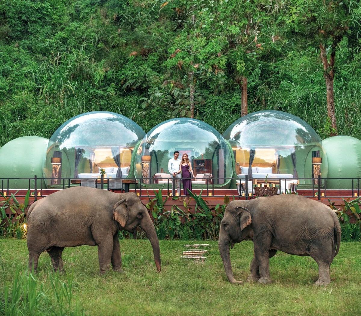 Anantara Golden Triangle Elephant Camp &amp; Resort (Chiang Rai, Tailandia)