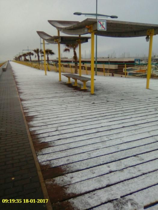 Una fina capa de nieve ha cubierto las playas, los techos de los vehículos, zonas verdes y tejados de Torrevieja, Orihuela Costa y Pilar de la Horadada