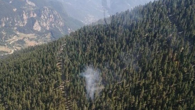 Columna de humo en una zona forestal de Josa i Tuixén, en el Alt Urgell (Lleida), este domingo.