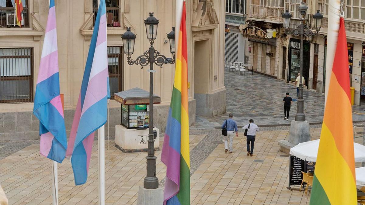 Las banderas a favor de la transexualidad y de la diversidad en el Ayuntamiento.