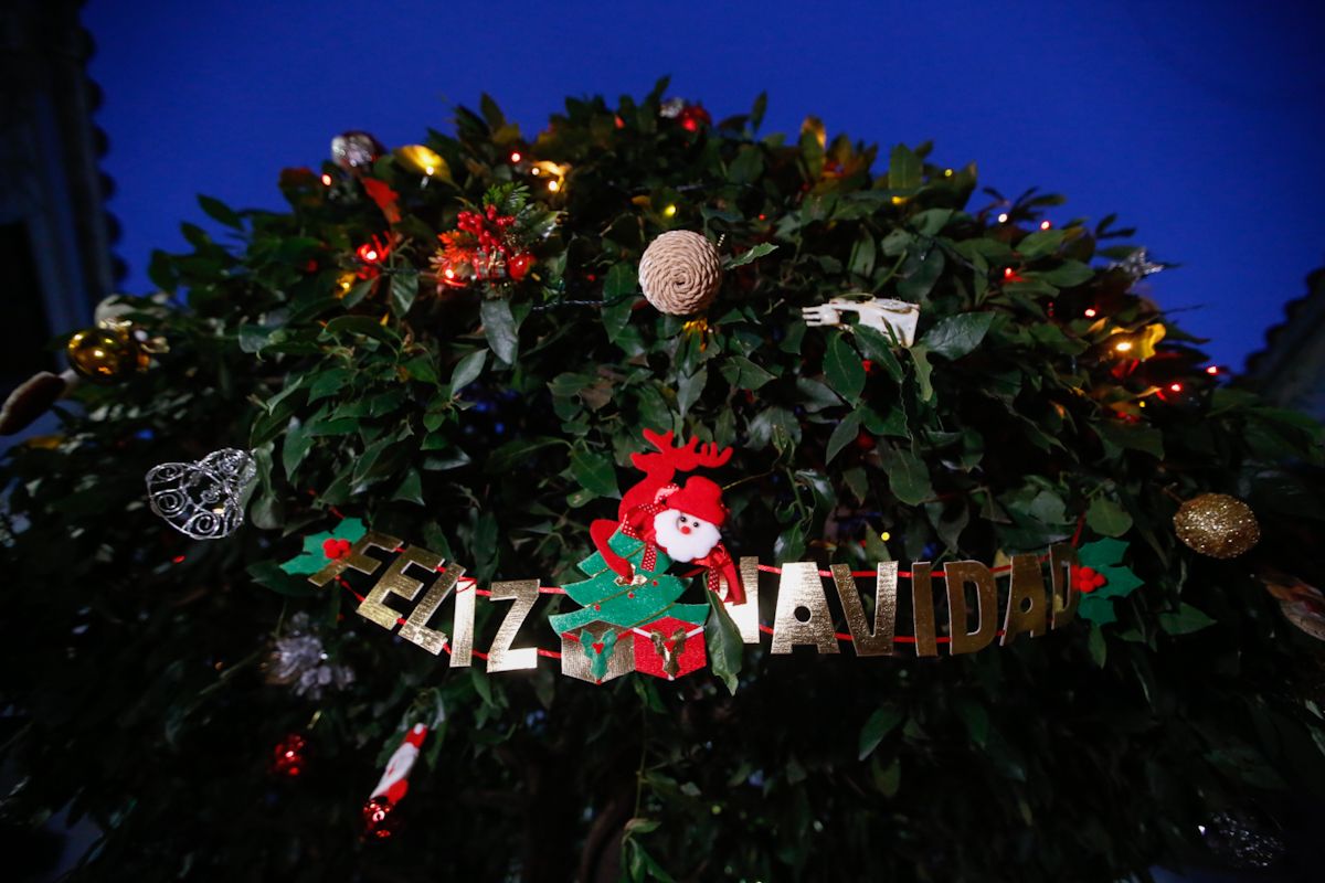 Los patios de Navidad derrochan brillo e ilusión en su día de apertura