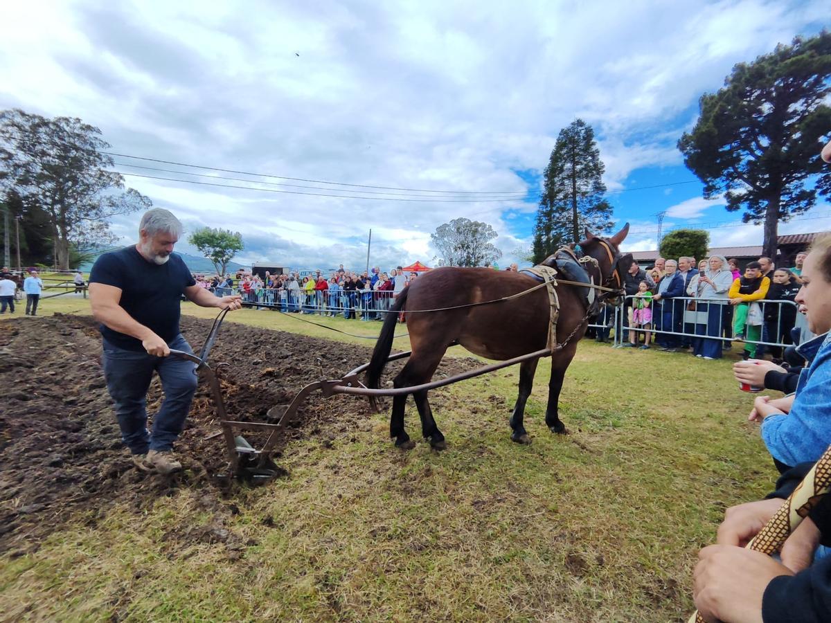 La feria de San Isidro, en imágenes