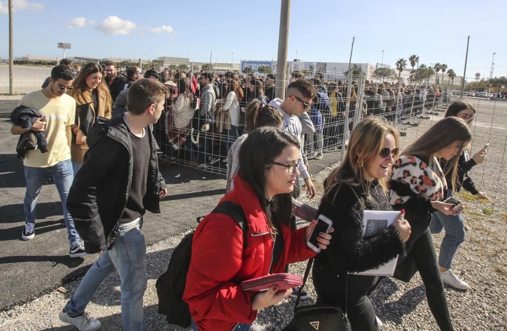 Paellas Festival de Alicante