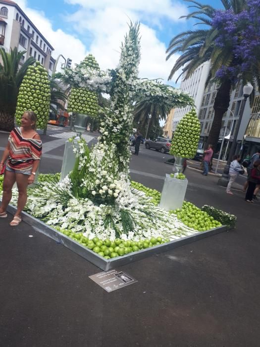 Concurso de Cruces de Flores Naturales