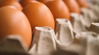 ¿Qué pasa si te comes un huevo al día?