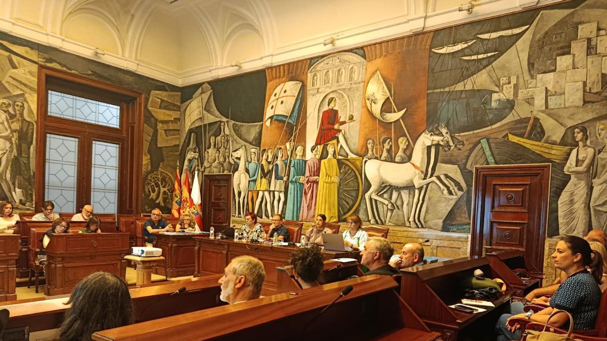 La DPZ impulsa la creación del primer Fondo Local de Cooperación para el Desarrollo de la provincia junto a más de 20 ayuntamientos