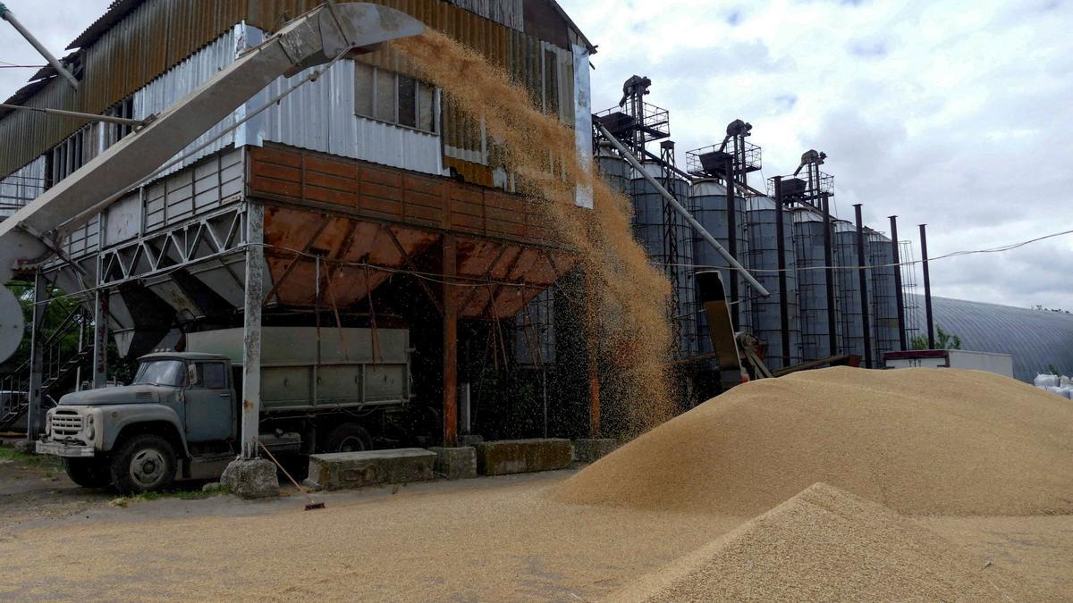 Un camión en una terminal de grano durante la cosecha de cebada en la región de Odesa.