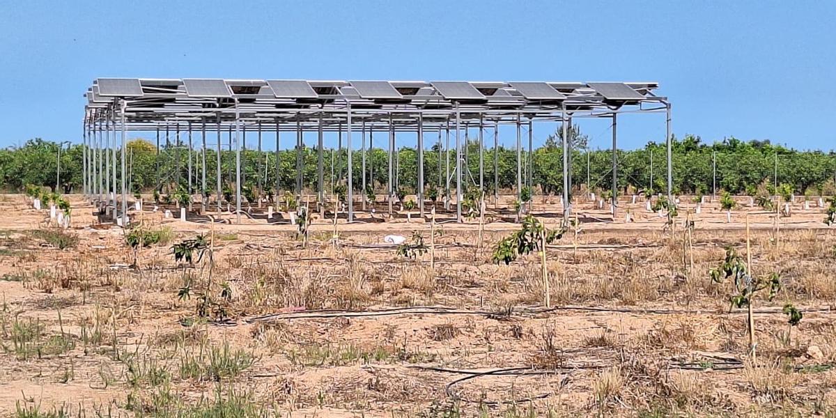 Con la instalación de la infraestructura se pretende reducir el coste energético del riego localizado y reducir el consumo de agua.