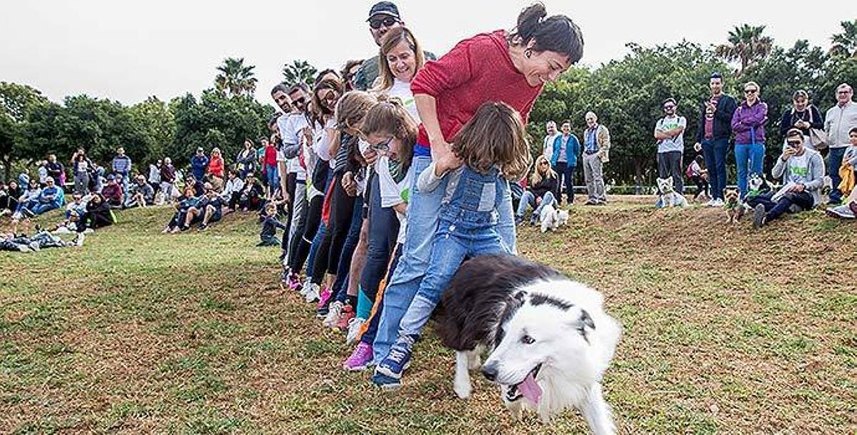 «El IVA al 21% ha sido malo para la salud de los animales y para la de las personas»