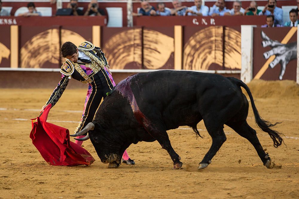 Toros | Corrida Picassiana de la Feria de Málaga