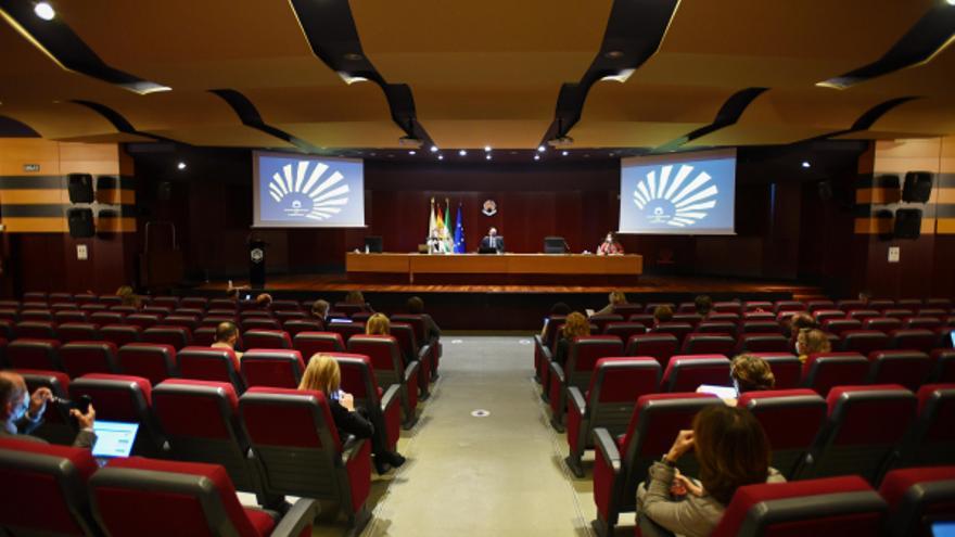 Sesión ordinaria de consejo de gobierno de la Universidad de Córdoba.