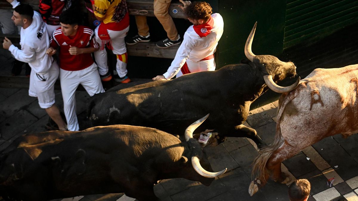 Octavo y último encierro de San Fermín con toros de la ganadería Miura