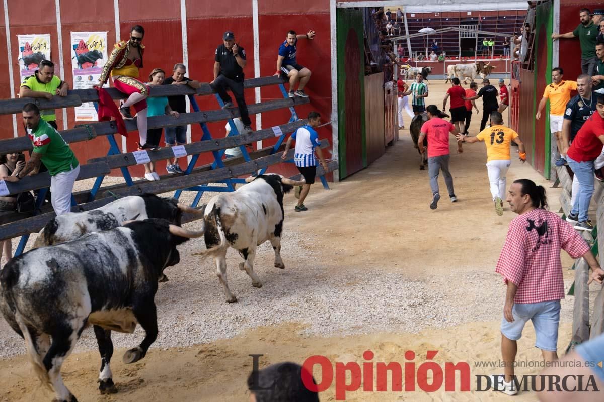 Primer encierro de la Feria del Arroz de Calasparra