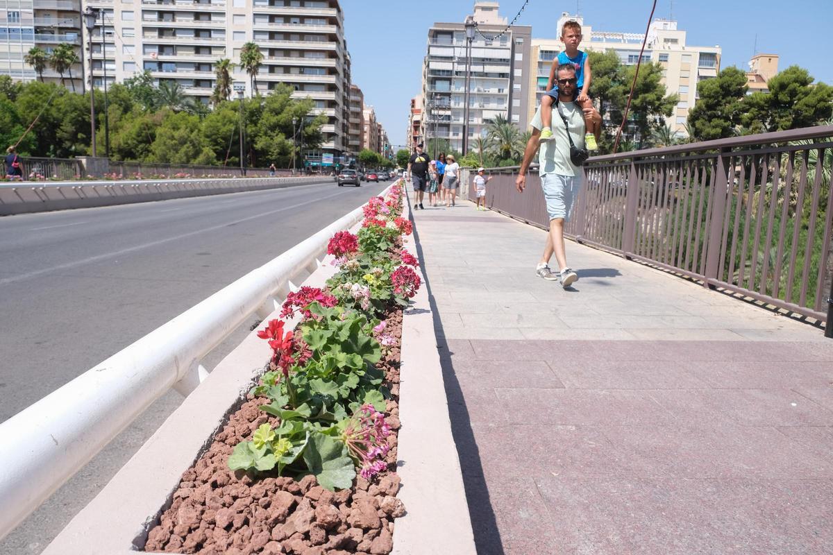 Jardineras con flores instaladas en el Puente de Altamira, en Elche