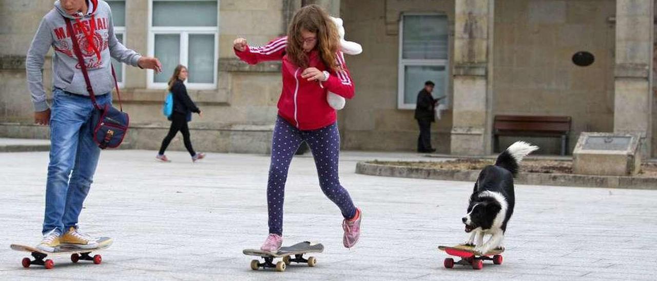 Una de las perras maneja el monopatín que tomó prestado a un niño, junto al concello. // Bernabé/Cris M.V.