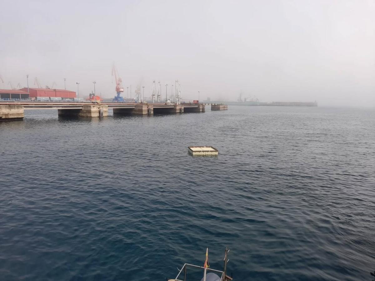 La plataforma para la anidación.