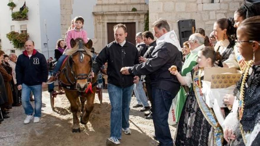 La bendición de los animales despide las fiestas de Sant Antoni en Peñíscola