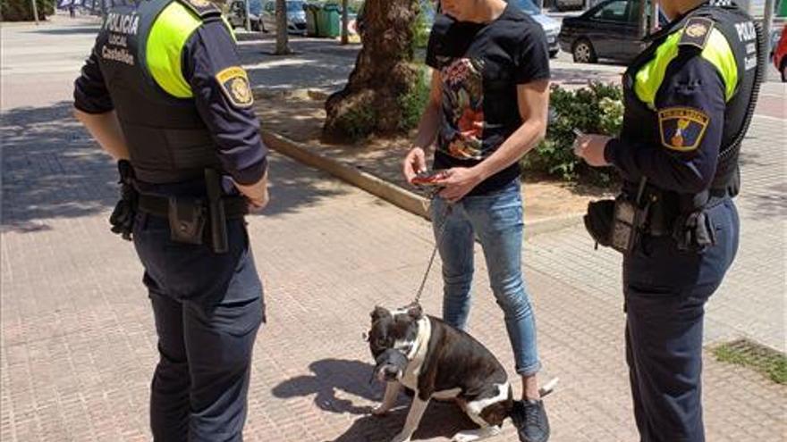 143 denuncias a dueños de perros en Castellón