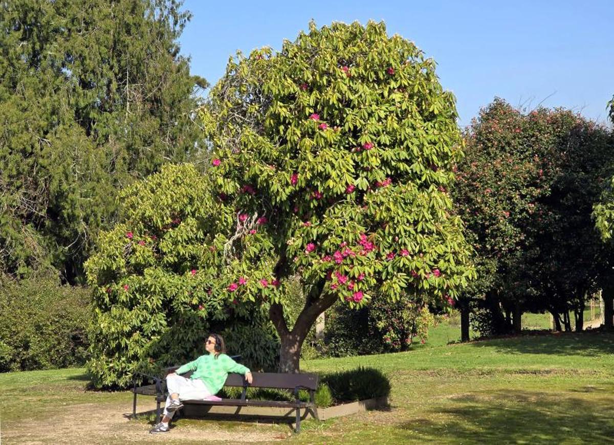 Una mujer disfruta del sol en Castrelos, ayer.