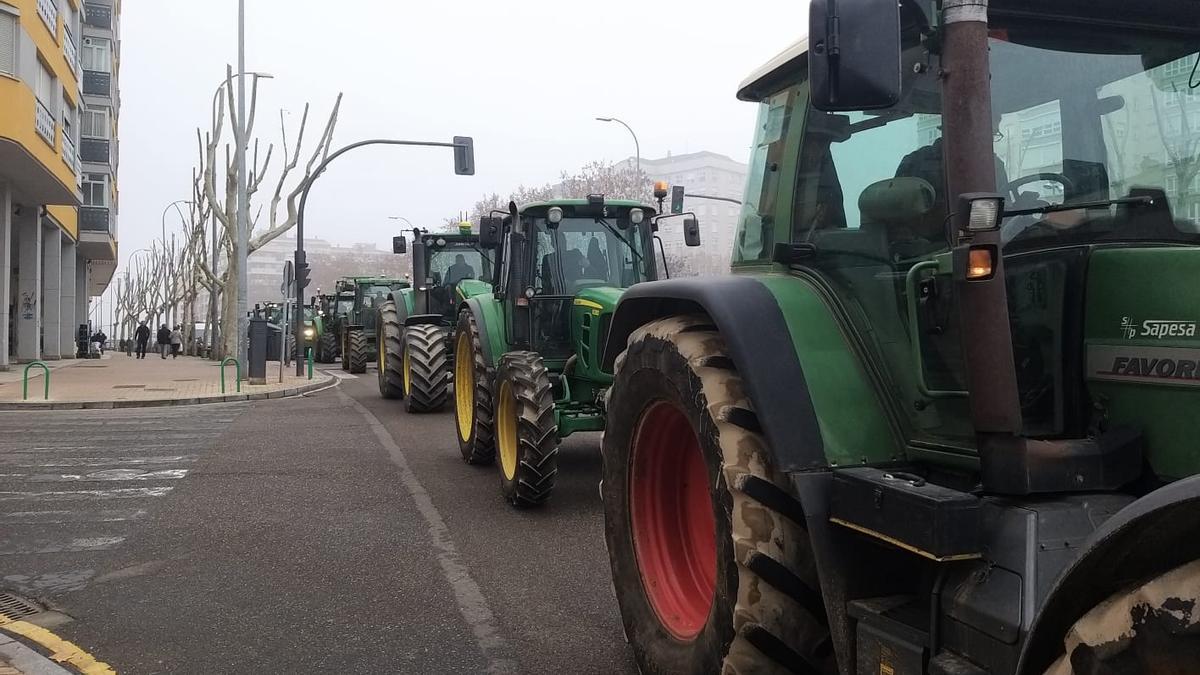 Tractoradas en Zamora.