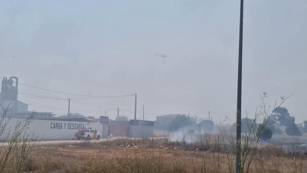 Incendio en el Pla de Quart de Aldaia, el pasado domingo.