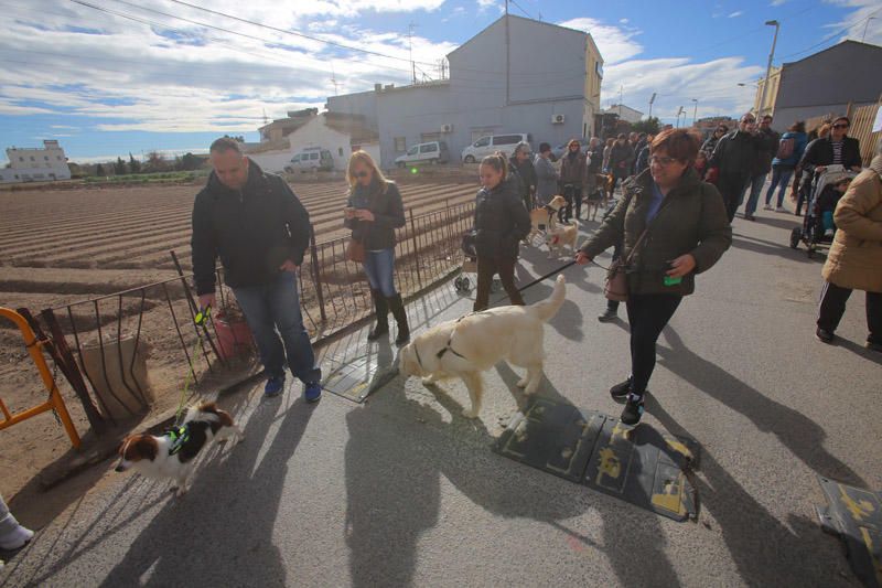 Benidición de animales en la Ermita de Vera y en la Punta