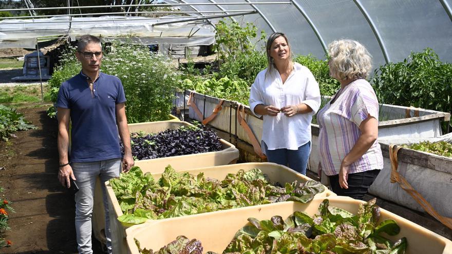 Capelán destaca a labor de produtores brioneses de froitas e hortalizas a través do coworking local