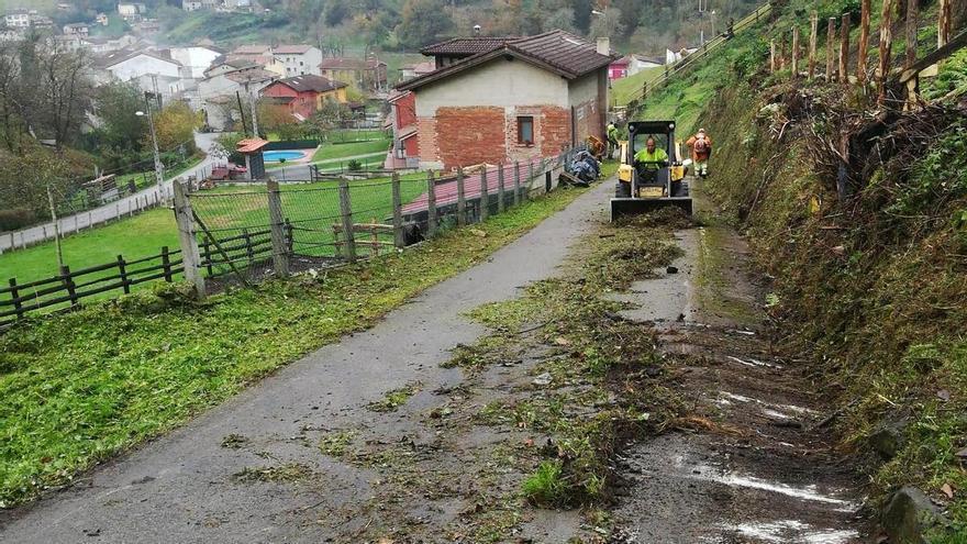 Laviana acomete un plan de desbroces en las carreteras de titularidad municipal