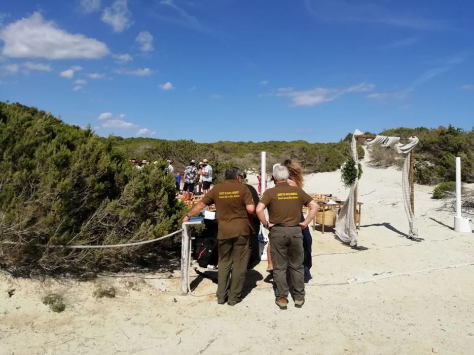 Fiestas en las dunas protegidas del parque natural de es Trenc