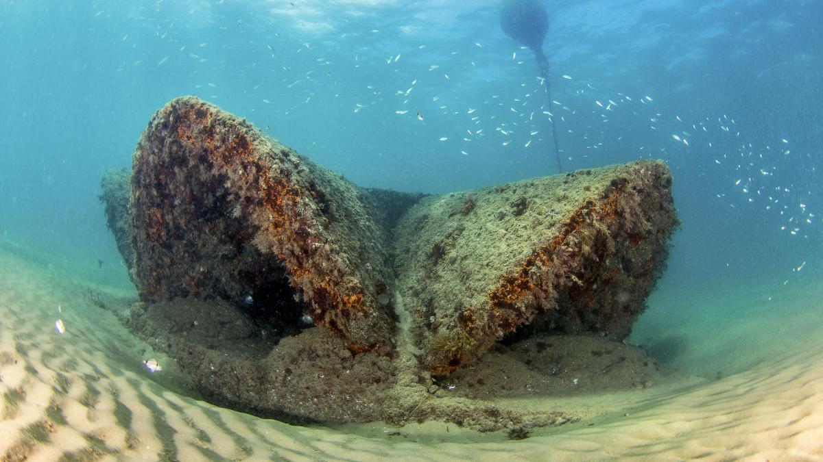 Imagen del arrecife artificial de la Playa de la Malvarrosa