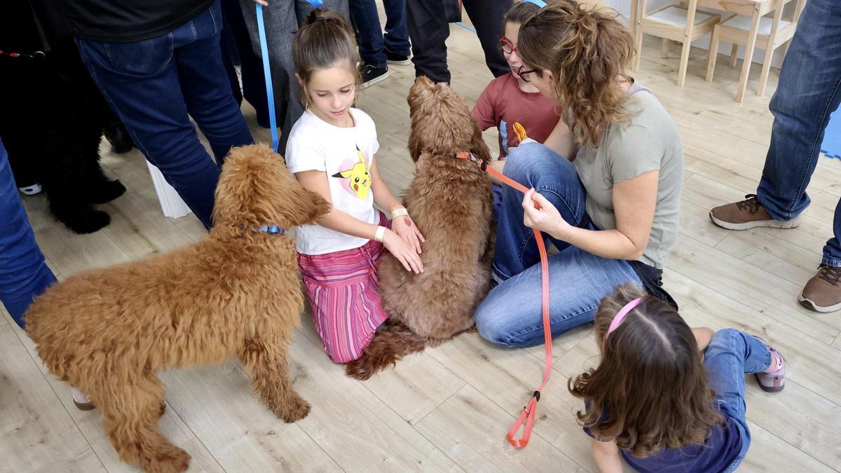 Terapeutas caninos entregados ayer a niños con enfermedades raras en la sede de D`Genes.