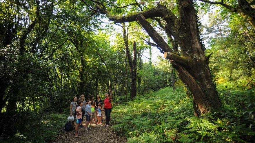 Visitas guiadas a Cortegada