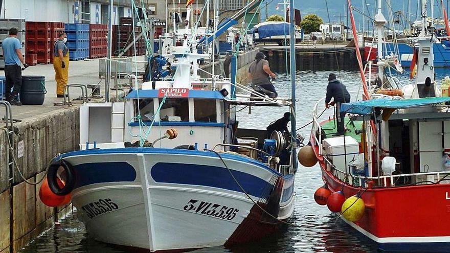 El &quot;Sapilo&quot; y el &quot;Ledicia&quot;, dos de los barcos de Burela inmovilizados en Santoña (Cantabria).