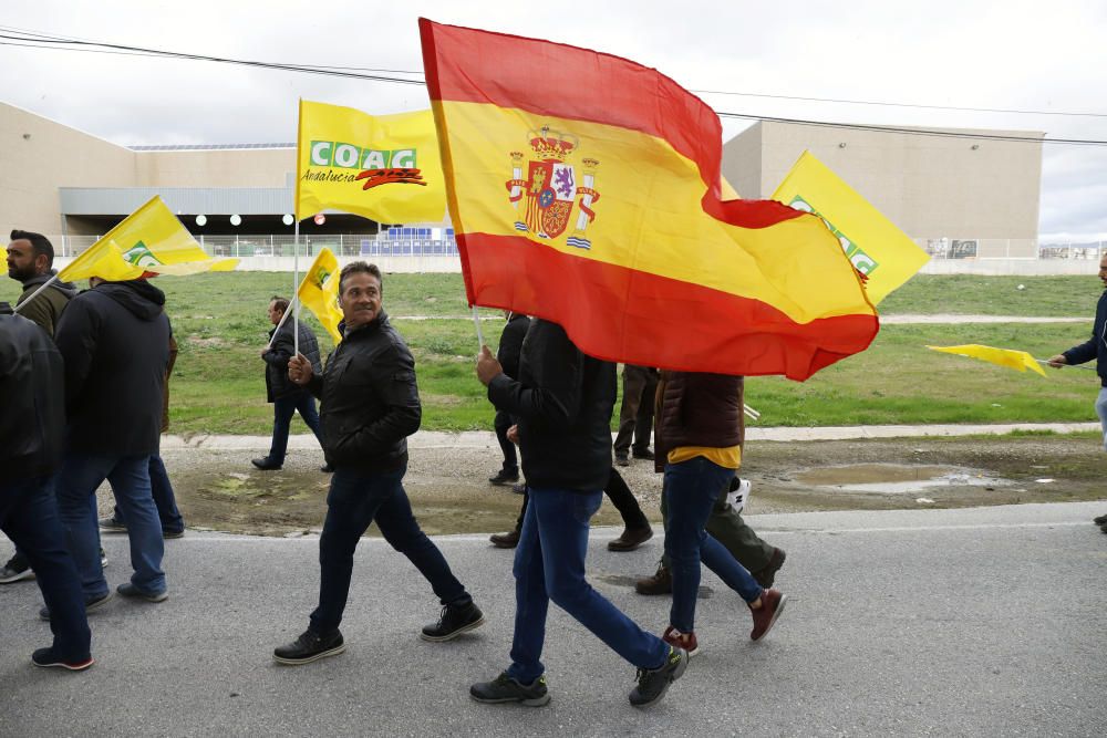 Los agricultores se manifiestan en Málaga contra la bajada de precios