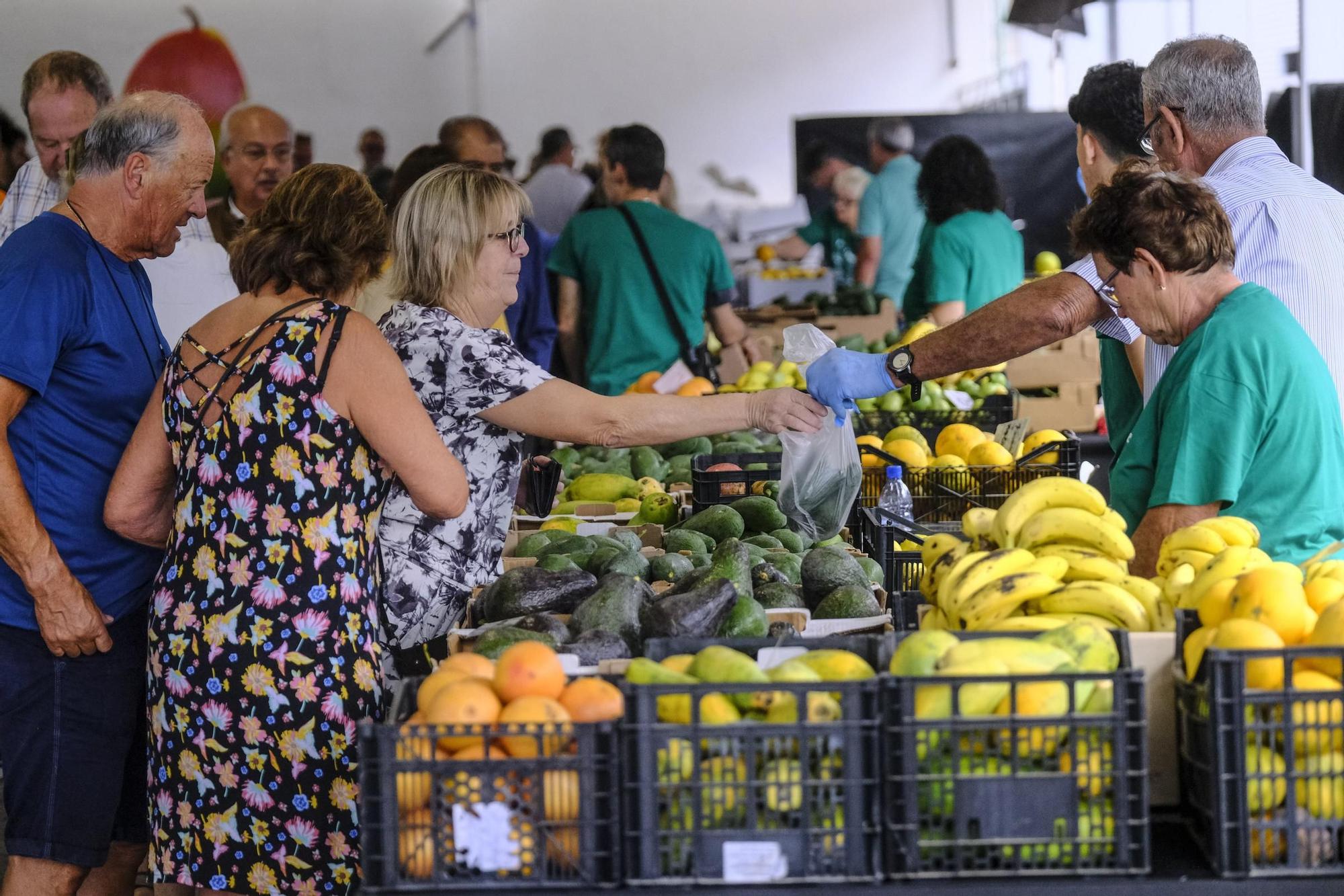 Feria del Aguacate de Mogán