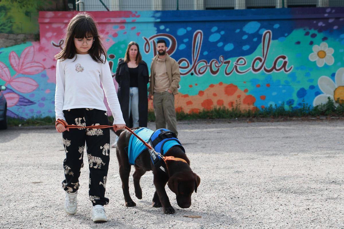 Leire con sus padres y su perro Miel ante el CEIP de Reboreda donde no le permiten entrar con su perro de ayuda.