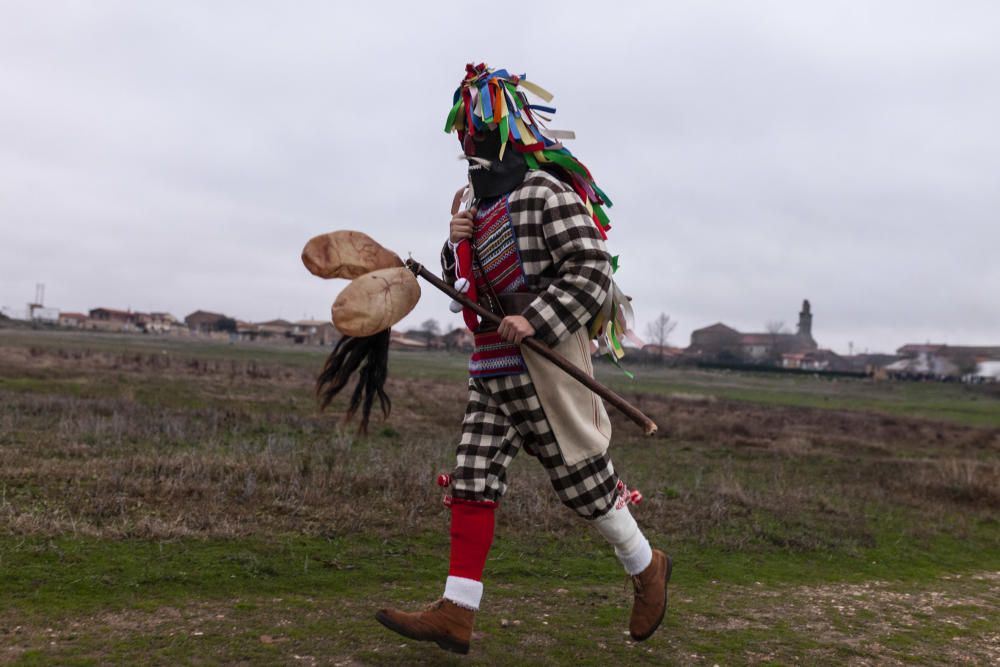 Magosto y mascaradas en Montamarta.