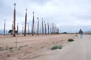 La Conselleria tramita una solicitud de camping para 170 caravanas y 90 apartamentos junto a las Salinas