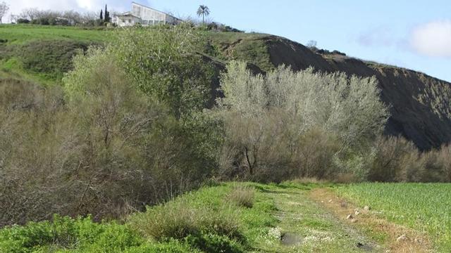 Camino de al-Ramla y, al fondo, escarpe de Mawwaz (torrontera de la Barca). | J. AUMENTE