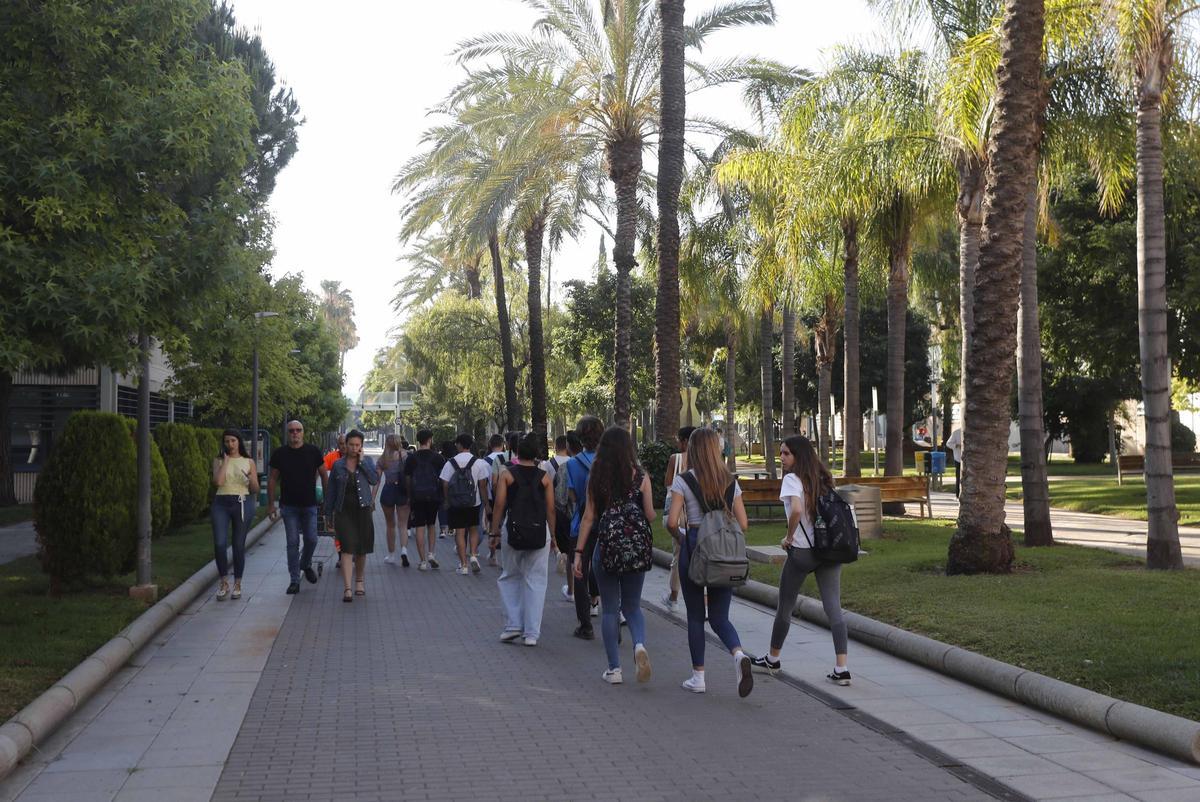 Campus de la UPV, en una imagen de archivo.